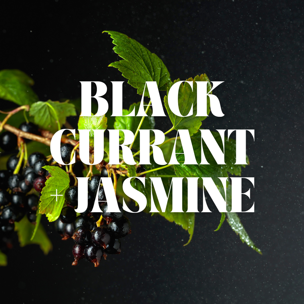 Black Currant + Jasmine (12 oz)