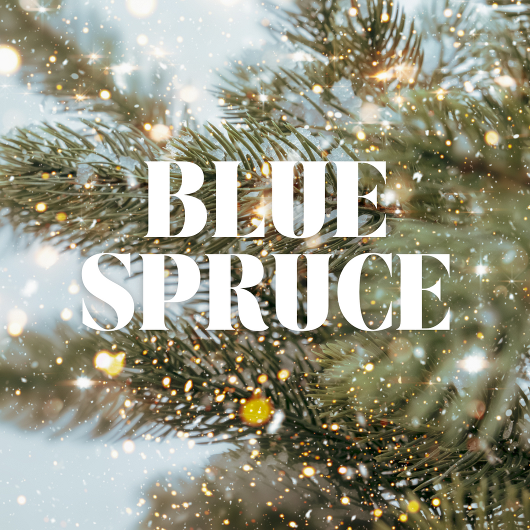 Blue Spruce (12 oz)